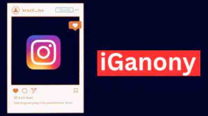 “IgAnony: Effortless Instagram Story Browsing & Downloading”