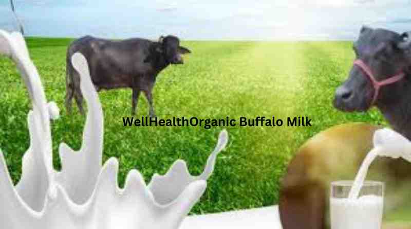 Exploring the Benefits of WellHealthOrganic Buffalo Milk: A Comprehensive Guide to the WellHealthOrganic Buffalo Milk Tag