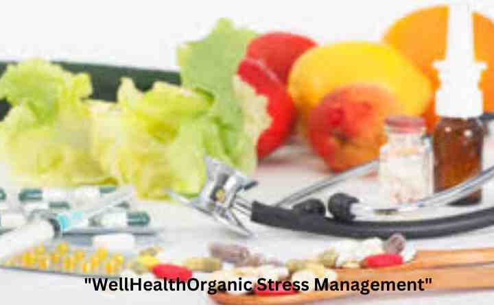 “Mastering Calm: Effective Strategies for WellHealthOrganic Stress Management”