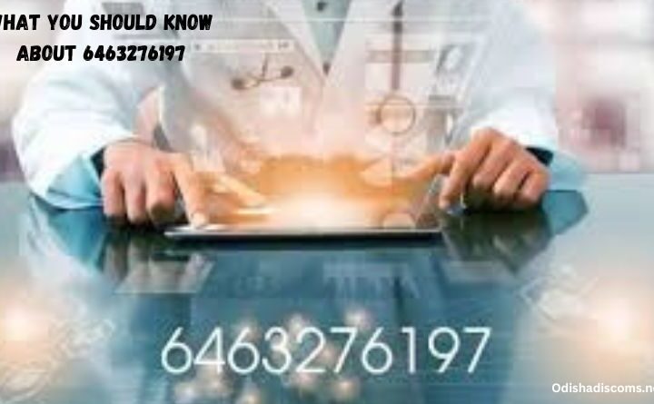 What You Should Know About 6463276197