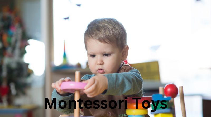 Montessori Toys