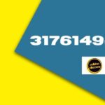 3176149593